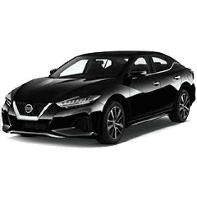 Covorase auto din EVA, Nissan Maxima A36 (2015-…)